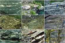 Geology of the Koyasan area, northwestern part of Kii Peninsula, Southwest Japan