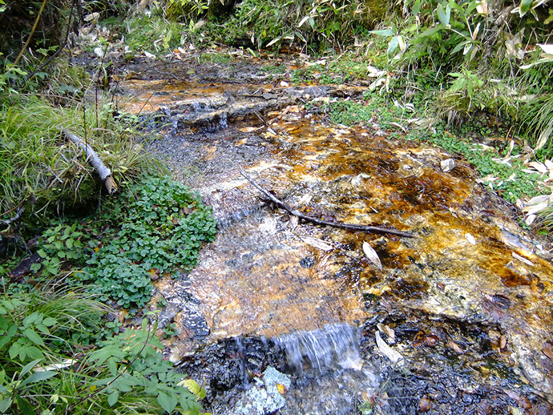 北海道然別地域で観察された珪華で覆われた河床