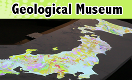 Geologicai Museum